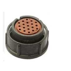 2РМТ24К19Г1В1В