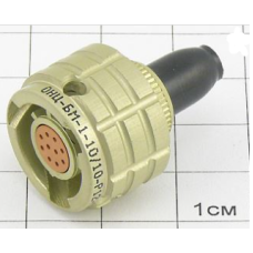 Розетка ОНЦ-БМ-1-10/10-Р12-1-В