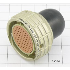 Розетка ОНЦ-БМ-2-102/27-Р12-1-В