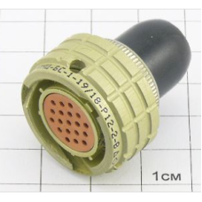 Розетка ОНЦ-БС-1-19/18-Р12-2-В