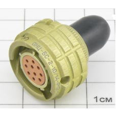 Розетка ОНЦ-БС-2-10/14-Р12-1-В